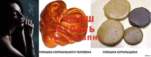 гашик Алексин