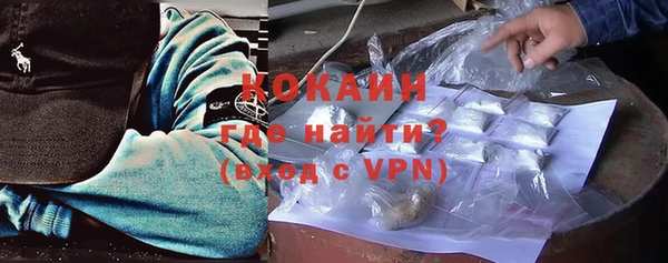 гашик Алексин