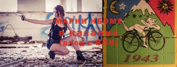 гашик Алексин