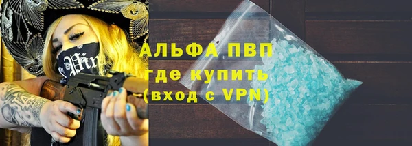 прущие грибы Тавда