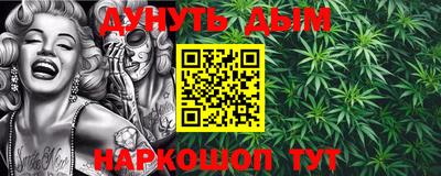 прущие крисы Кингисепп