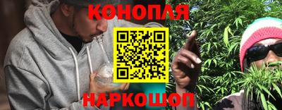 прущие крисы Кингисепп