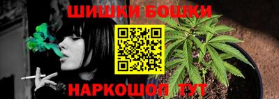 прущие грибы Комсомольск-на-Амуре