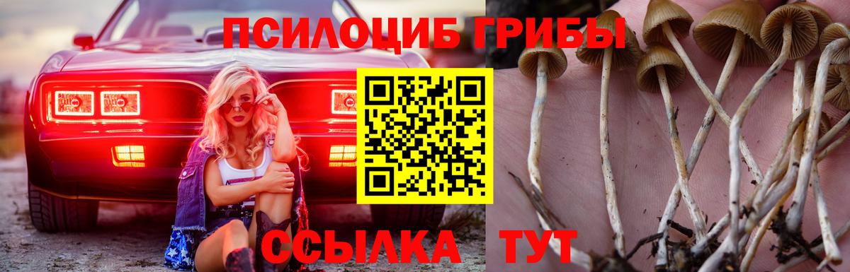 Галлюциногенные грибы GOLDEN TEACHER  Вход с VPN  Галлюциногенные грибы Psilocybe  Кызыл 